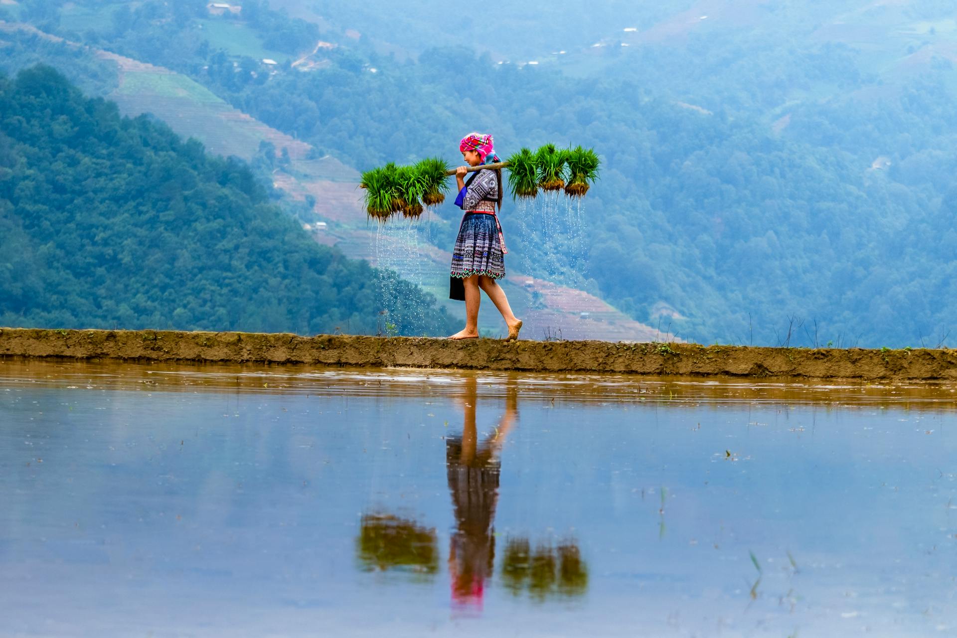 Northern Vietnam Odyssey: Hanoi, Sapa, Mai Chau, and Halong Bay 8-Day